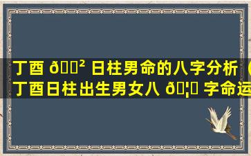 丁酉 🌲 日柱男命的八字分析（丁酉日柱出生男女八 🦊 字命运易安居）